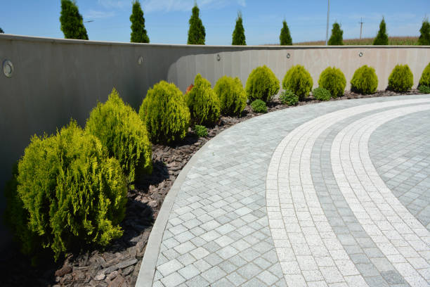 Best Professional Driveway Pavers  in High Rolls, NM